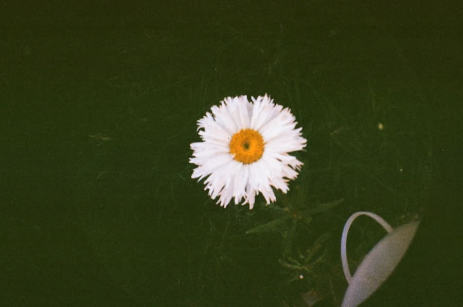 Photo Geluksmomenten